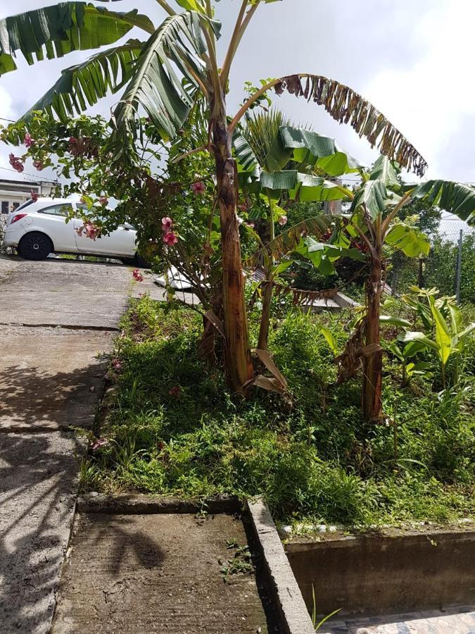 F1 Studio Martinique Guinee-Fleury Bagian luar foto
